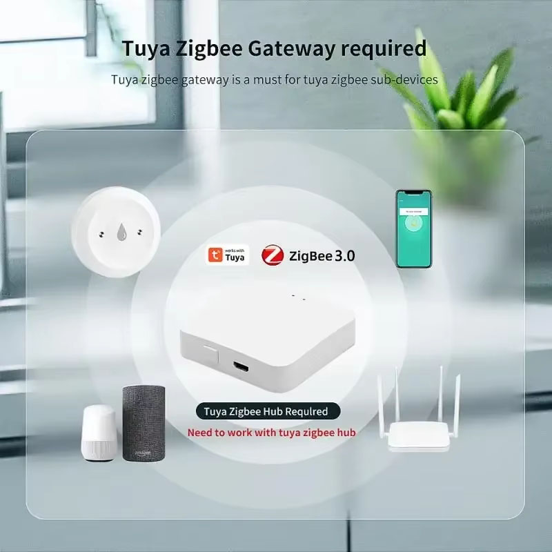 For Tuya ZigBee 3.0 Smart Wate - Smart Home Security System 评论和价格