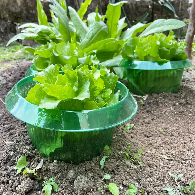 Plants Slug Protection Rings V - Smart Home Green 评论和价格
