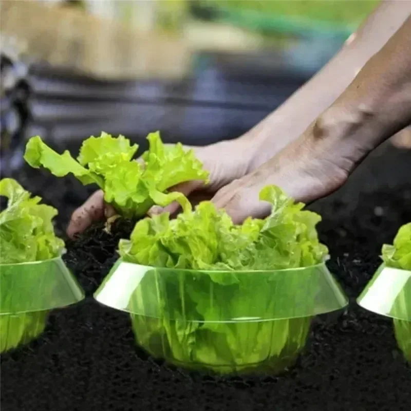 Plants Slug Protection Rings V - Smart Home Green 评论和价格