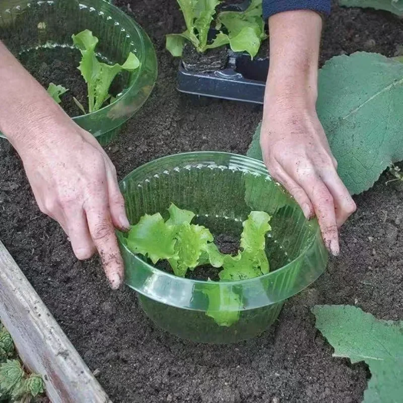 Plants Slug Protection Rings V - Smart Home Green 评论和价格